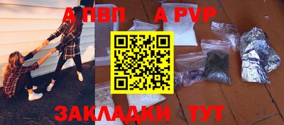 шишки Лесосибирск