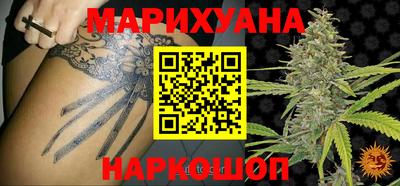 шишки Лесосибирск