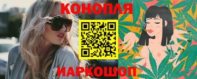 шишки Лесосибирск