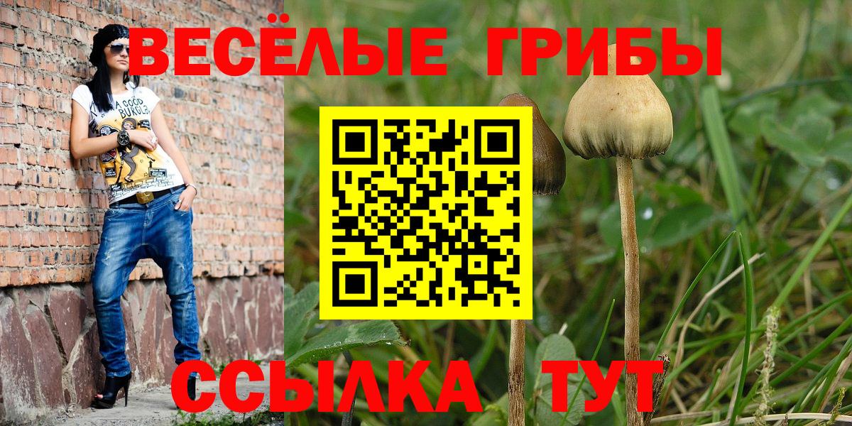 Ухта  Псилоцибиновые грибы прущие грибы  Вход с VPN 